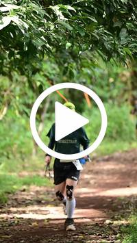 BIB:  <button type="button" onclick="openModal(27288856)" class="btn btn-primary btn-sm float-right" data-toggle="modal" data-target=".modal-high-quality">
                <i class="fa fa-download"></i> Download
                </button>